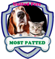 a most patted award